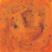 Marinade Délice d'oignon