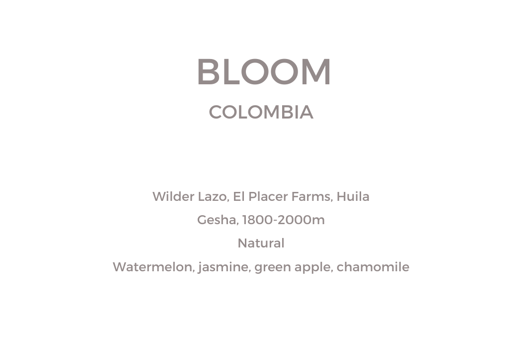 Colombia - Bloom