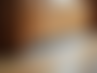 A Quite Room & Insects Free Home - Door Bottom Seal