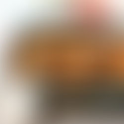 Chicken Burrito Skillet