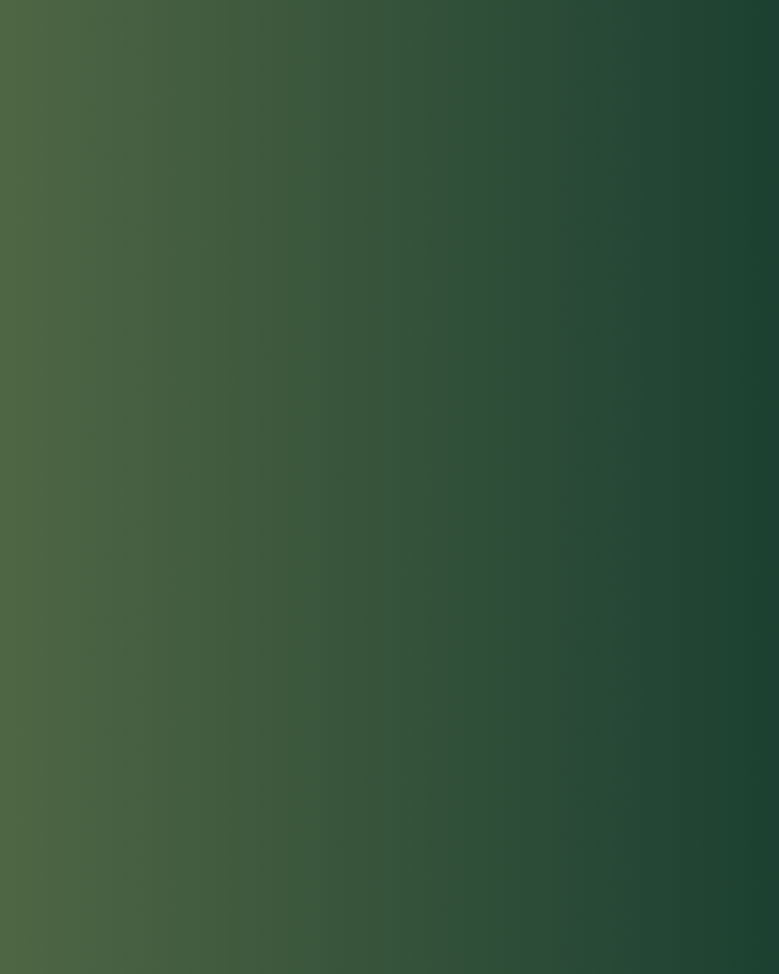 Cópia de Evento Fenz Brazil • Laces .png