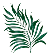 FOLHA 03-verde.png