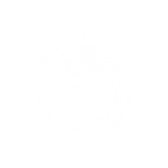 LOGO CIRCLE CURVA_BRANCO.png