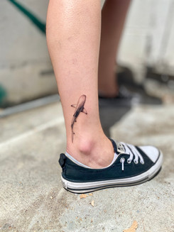 Micro shark tattoo.jpeg
