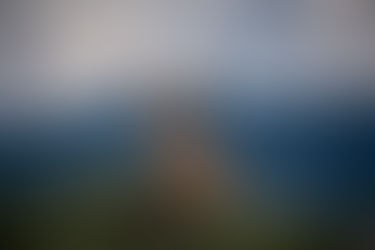 Comedy Wildlife Photography Awards Exhibition