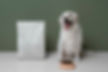 pet food 