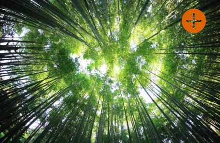 5 idées reçues sur les maisons passi
