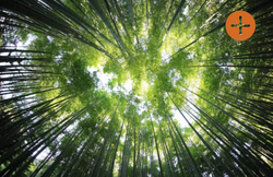 5 idées reçues sur les maisons passi