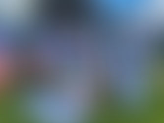 An Awesome Pop-Up Rally on Sherman 6/28