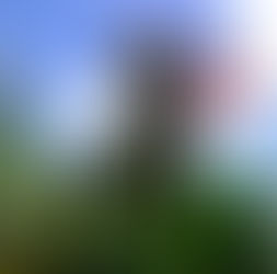 Museu Virtual para Conhecimento dos Mestres dos Saberes Populares é lançado