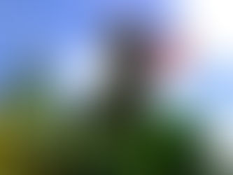 Museu Virtual para Conhecimento dos Mestres dos Saberes Populares é lançado