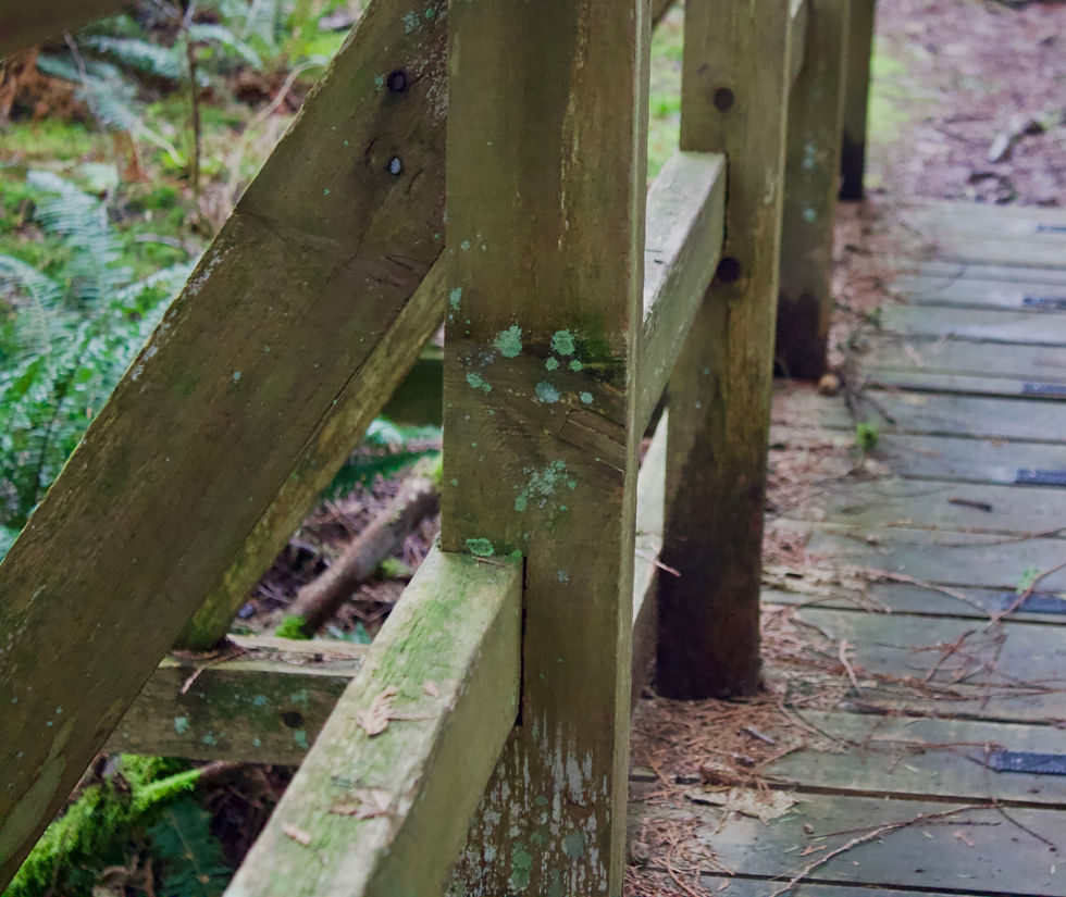 Texture, pattern and repetition