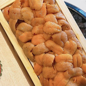 BAFUN UNI