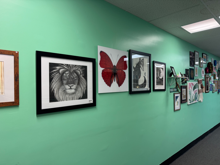 A community art gallery wall showcasing beautiful works by local artists in an inviting space.