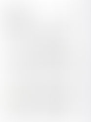 Fifth Sunday of Easter (A)