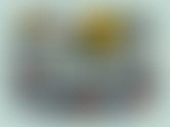 Navigating SR-22 Insurance in Kissimmee: A How-To Guide for Drivers