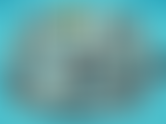 Navigating Affordable SR-22 Insurance Coverage in Melbourne, Florida: A Comprehensive Guide