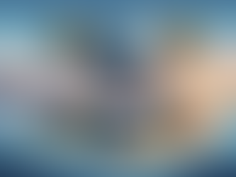 Mastering SR-22 Insurance in Naples: Your Complete Guide to Navigating High-Risk Coverage