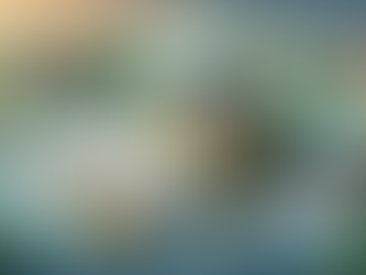 Smart Strategies for Flood Insurance Discounts Without Compromising Coverage