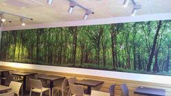 vinilo impreso pared