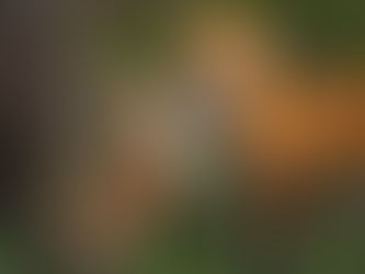 להתחבר (גם) כשלא מסכימים