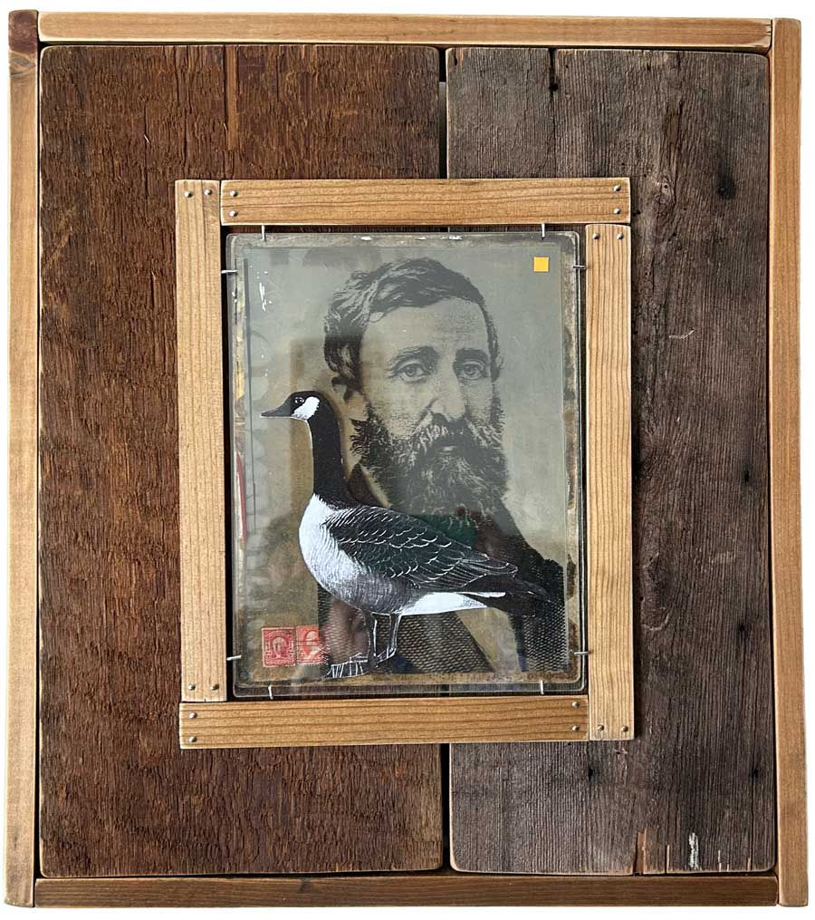 Untitled, Gary Hamel, 2024