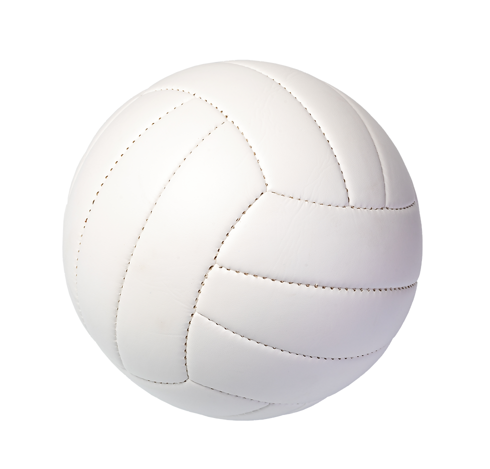 volleyball-ball copy.png
