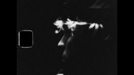 Still 2025-12-29 121943_1.1.3