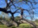 IMG_5256 2.jpeg