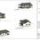 Thumbnail: Modern Country Cottage Home Plan For Sale: 99.6RH Farm Cottage