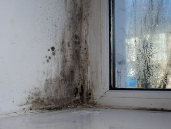 Preventing Mould in the Bathroom: 6 Important Tips