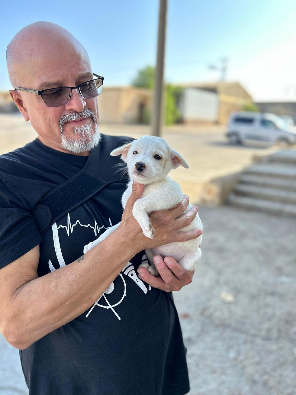 Rescued puppy