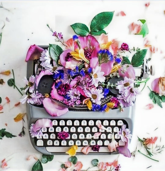 Screenshot 2025-11-24 at 8_edited.jpg