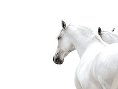 Ontwerp zonder titel (2).jpg