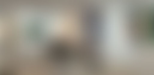 VISITE DE LA GALERIE A SANARY SUR MER