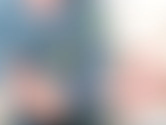 Організаційний дизайн і операційна модель