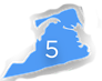 Region 5.png