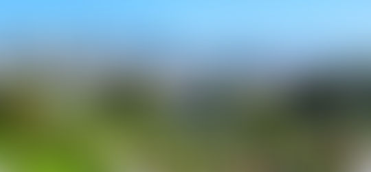 Essa tal de natureza