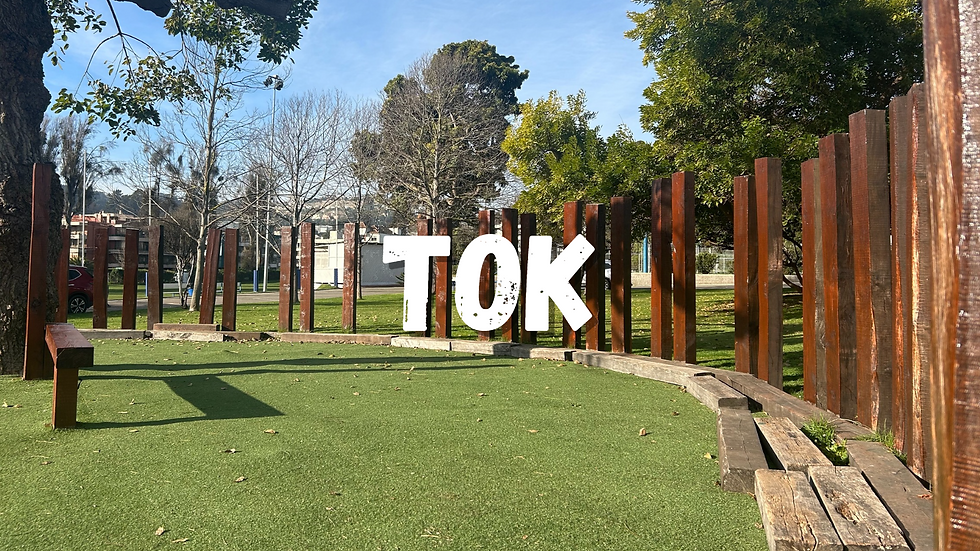 Foto TOK.png