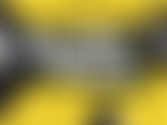 Participation in online seminar "Experiencing and Remembering Cultural Trauma" from New School