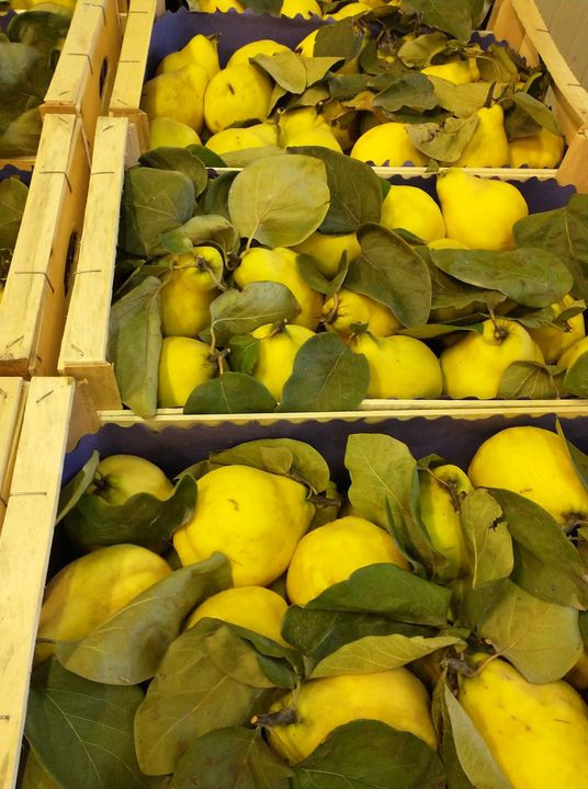 Miniatura: FRUTTA E VERDURA DI STAGIONE