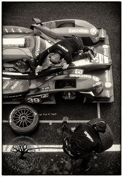 V de V Sports - Estoril 2018