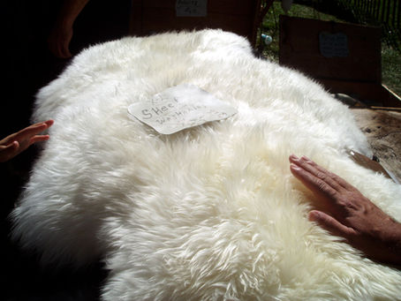 A Arte Ancestral da manufactura de mochilas e sandálias em pele de ovelha e cabra