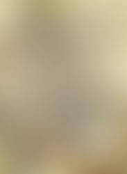 Cavaleiros e Cavalaria