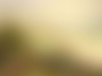 A Muralha medieval de Lisboa