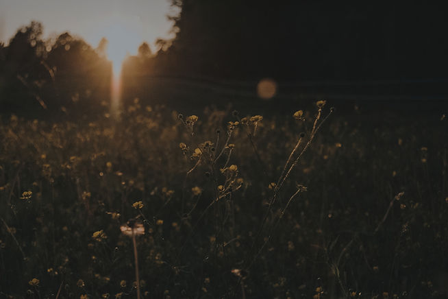 Entspannung für Mütter und Frauen, Stress mit Kindern, Paar-Coaching, Coaching, Nervensystem