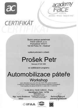 automobilizace_patere