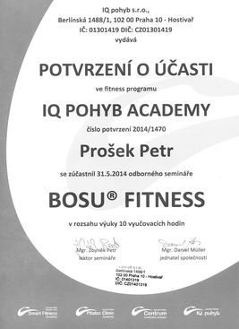 bosu_fitness