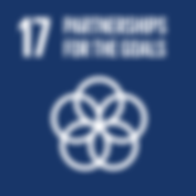 A dark blue box with SDG goal 17