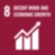 A red box with SDG goal 8